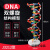 DNA双螺旋结构模型大号高中分子结构模型60cJ33306脱氧核苷酸链 DNA双螺旋结构模型(60c高)