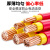国标珠江电线电缆ZC-BVV95 120 150 185 240平方双塑纯铜阻 国标 35平方 接地线 1米