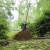 竹扫把农村老式竹丝扫帚笤帚户外庭院环卫通用大扫把扫院子 芦花扫把长11米宽55厘米
