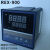 RKC智能温控仪REX-C400FK02-M*AN温控器 REX-C100 C700温度控制 REX REX-C400 继电器输出