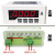 转速表数显0-10V变频器频率表4-20mA DP35-S米速线速表 变频电流表/DC0-10V输入 BFN8DV51/