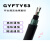 GYFTY53-8B1.3室外铠装光纤4/12/16/24/48/96芯非金属直地埋光缆 GYFTY53-32芯