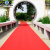 定制红地毯一次性结婚加厚防滑迎宾婚庆展会开业庆典卧室楼梯彩色 绿色地毯约1毫米厚可用1天