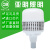 上海亚明节能省电大功率led灯泡E27E40螺口球泡灯超亮厂房照明灯 特亮带风扇球泡(螺口E27)100W