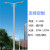 新农村LED市电路灯220V6米8异型杆双臂9M7市政工程定做太阳能10M 定制款式2