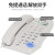 飞利浦（PHILIPS）电话机座机 固定电话 办公家用 免电池设计 来电显示 TD-2808 (白色)