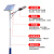 中恒朗 TYN-06100 太阳能路灯 6米户外灯LED光伏板 马路新农村工程市政道路高杆灯超亮大功率 6米A字臂+金豆100W+地笼