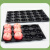 DYQT定制水果托盘陈列垫板苹果定位分格超市散装防滑蜜桃展示黑色塑料 果托(40孔) 20张加厚精品