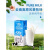 乍甸云南乍甸高原天然牧场6.4克蛋白质牛奶200g盒整箱早餐奶 200g*12盒
