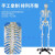 85CM人体骨骼模型 170CM骨架人体模型成人小骷髅教学模型脊椎身 170CM骨骼带肌肉起止点