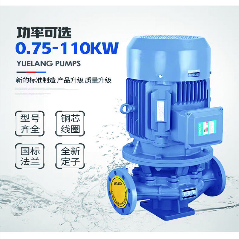 雷动 人民IRG立式管道泵三相离心泵冷却塔增压工业380V暖气循环泵铜 IRG25-160-1.5KW4吨32米 