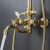 法式淋浴花洒套装三功能出水冷热可升降金色欧式复古喷头全铜壁挂 锆金-大弯管
