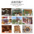 新照（XIN ZHAO）1KG 仿古红 环保水性木纹漆  木门木用油漆家具翻新改色木器漆木漆自刷水性涂料