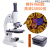 光学显微镜10000儿童科学中学生生物实验小学生电子目镜高倍高清 浅紫色