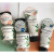 高丝（kose）日本Kose高丝氨基酸洗面奶有机植物滋润清爽净透保湿泡沫型膏状型 130g 保湿膏体型130g