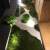 仿真青苔假苔藓造室内微景观人造草坪绿植墙植物墙面绿化装饰 青苔包E款/长宽高约140X90X25cm