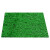 安小侠 仿真草坪垫子假草绿色人造草坪塑料假草幼儿园户外假草皮装饰地毯 1.0翠绿