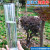 雨量计用雨量杯玻璃雨量筒水文气象20CM厘米雨量器专用国标带底座 直读式雨量杯