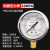 历修定制耐震压表力YTN60/25461.6MPA液油水防震气2.5 60耐震压力表0-10MPa(100公斤)(M14