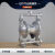 QBY25/40气动隔膜泵不锈钢耐腐腐蚀铝合金抽胶泵塑料铸铁压滤机泵 QBY3100工程塑料丁腈膜片
