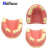 TWTCKYUS上颌窦提升操练模型 种植牙练习模型 口腔种植 软牙龈 齿科材料 带牙龈8颗牙模型 1个