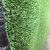草坪围挡环保人造仿真草坪网隔离网护栏网绿色市政防护绿化草皮 3米宽25米长1.5厘米薄