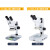 力辰科技生物显微镜大视场目镜带CTV专业光学高清jing子螨虫显微镜 LC-SMS-4T+200W摄像头+环形灯 