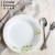康宁餐具 CORELLE 美国进口玻璃餐具 绿茵系列家用6件套碟碗盘子套装中西式餐具耐热玻璃陶瓷材质