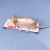 大鼠固定器 小鼠固定器 尾静脉注射抽针灸保定 实验用老鼠筒架 PC筒+不锈钢架含票160-350g