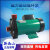 新西山磁力泵驱动循环泵MP-15RM2030R4070耐腐蚀耐酸碱微型化工泵 MP15R直插