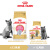 皇家（ROYAL CANIN）猫粮英短成猫蓝猫专用BS34全价主粮美短/布偶/波斯品种粮合集 【新手推荐】美短成猫粮ASA31_2K 2kg