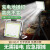 EAZOO STAR上海亚明大功率COB投光灯户外照明灯室外射灯led超亮泛光灯 亚明-地摊照明灯-[200w]