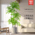 雅致仿真绿植高端轻奢仿生植物室内装饰花客厅摆件1.6米南天竹+白圆盆