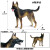 京佐仿真德国牧羊犬玩具模型儿童狗狗德牧塑胶摆件宠物狗黑背大狼狗 208野狗