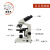 兽用显微镜带屏恒温加热精子检测专用猪牛狗兔看精子显微镜 双目显微镜-1600倍