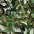 安赛瑞 迷彩伪装网  防卫星防航拍防晒网 丛林迷彩网遮阳网 2×3m 户外拓展绿化迷彩网 丛林迷彩 27433