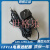 原装欧陆通12V1A/1000MA充电ADS-12FG-12N 12012EPCN电源适配器线 ADS-12FG-12N(美规 通用款)