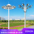 LED中杆灯广场灯6米8米10米12米15米20米25米球场灯升降部分定制 8米T型  2*LED150W投光灯