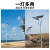 亚明上海太阳能LED路灯户外防水超亮300W庭院超亮新农 10米路灯杆(一体直杆)镀锌钢材[
