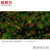 纽荷尔 荧光显微镜 高端科研四色荧光激发一体化成像分析系统 NEXT50