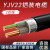 YJV22国标铜芯铠装电缆2芯4/6/10/16/25平方户外工程地埋电线缆 YJV22国标2*4