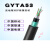 GYTA53-4B1.3防鼠重铠光纤8/12/24/36/48/72/96/144芯直地埋光缆 GYTA53-36B1.3