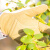 天狼月季 园艺防刺手套 多场合使用家庭园艺耐磨耐用手套憬芊 短款蓝色S乳胶手套