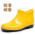 短筒白色卫生靴低帮男女雨鞋雨靴大码厨师鞋4647484950码 黄色晴雨鞋 41