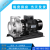 南方南泵水泵ZS50-32ZS80-65不锈钢卧式环泵单级泵水处理供水给水 ZS65-40-200/5.5SSC