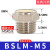 电磁阀气动消音器BSL02质消声滤芯过滤器气动接头 BSLM-M5