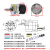 直流无刷减速电机12V24V微型调速小马达慢速正反转低速电动机 DC 12V 每分钟/150转