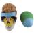 蓝蝶（Blue butterfly）头颅模型医用仿真头颅骨标本可拆分大脑医学人体头骨模型 彩色头骨带脑