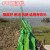 JESERY围油栏轻型固体浮子式水面橡胶拦污带围拦油带绿色PVC-350 10米