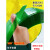 PET打包带透明1608净20kg塑料 色捆扎塑钢手工包装无纸心绿带 绿色16084.5公斤 约300米